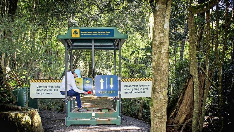 Queensland-Department-of-Environment-and-ScienceGHM-boot-cleaning-station800pxw