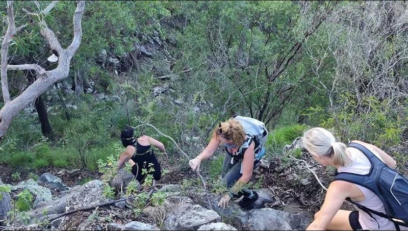 Supplied-Gail-AndersonClimbers-on-Coochin-Hills-GHM800pxw