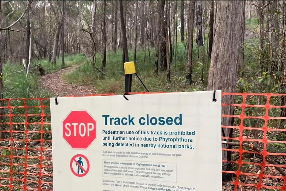 Supplied-Pauline-CatoGHM-invasive-Phytophthora-track-closure-sign1000pxw