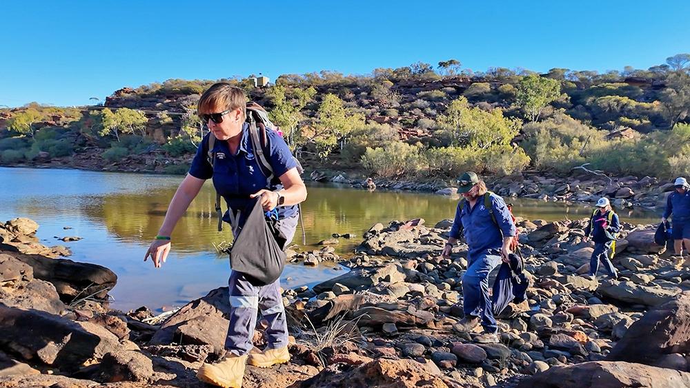 Alex-GoreDBCACarrying-wallabies-into-Kalbarri-gorge1000pxw