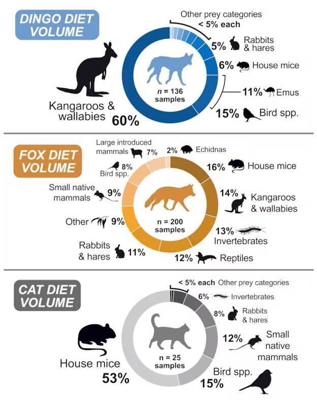 Graphic showing the volume of prey categories in dingoes foxes and cats diet in Big-Desert-Wyperfeld-Ngarkat park complex.