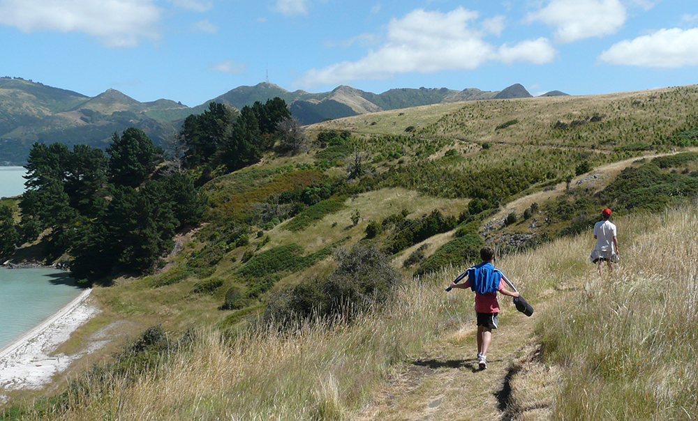 The Quail Island treasure hunt